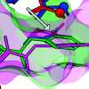 Pocket Similarity: Are α Carbons Enough?