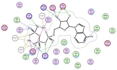 1ATP