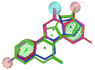 Flavone, Estradiol, and Coumesterol Consensus Query in MOE
