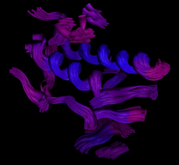 RMSD_color