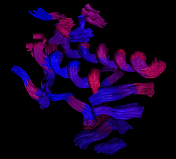 SeqVariable_color